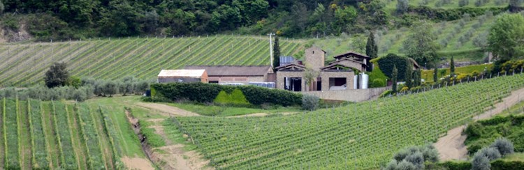 A Tuscan Cabernet Secret