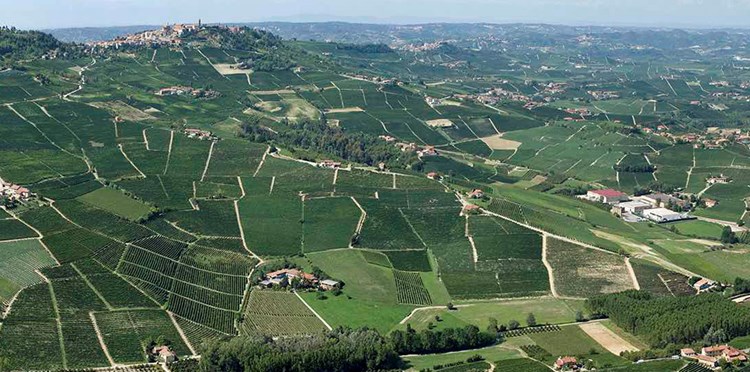 His Heart's Barolo.