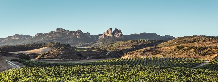 In Rioja, the Future looks to the Past.
